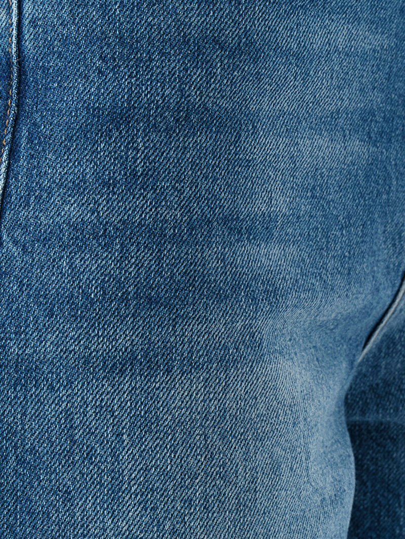 Regular Fit Kadın Şort