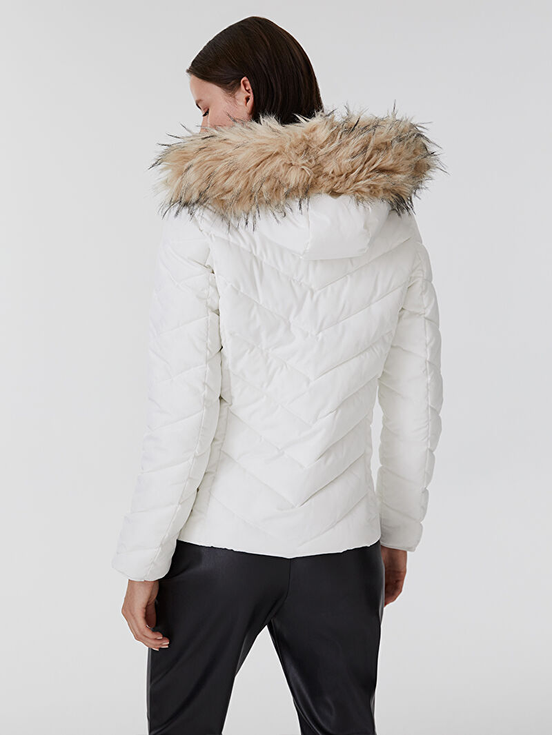 Regular Fit Kadın Mont