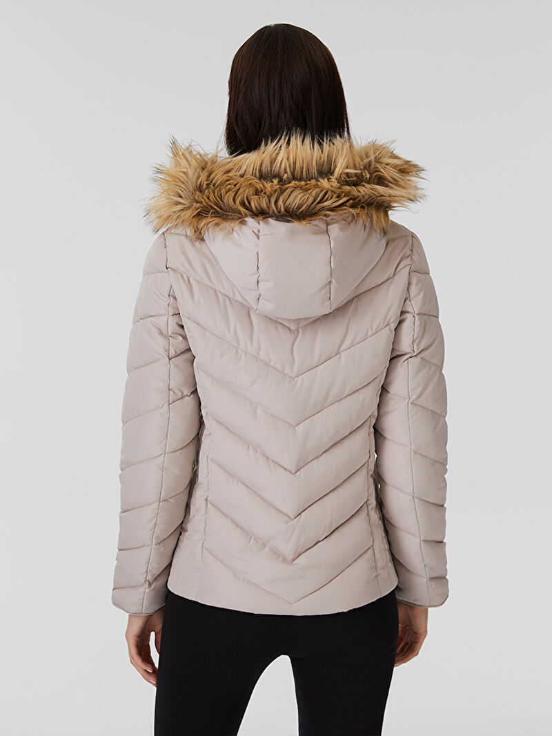 Regular Fit Kadın Mont