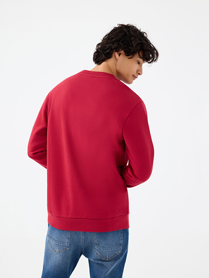 Regular Fit Erkek Sweatshirt