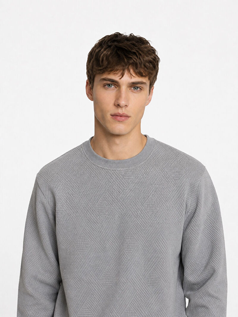 Regular Fit Erkek Sweatshirt