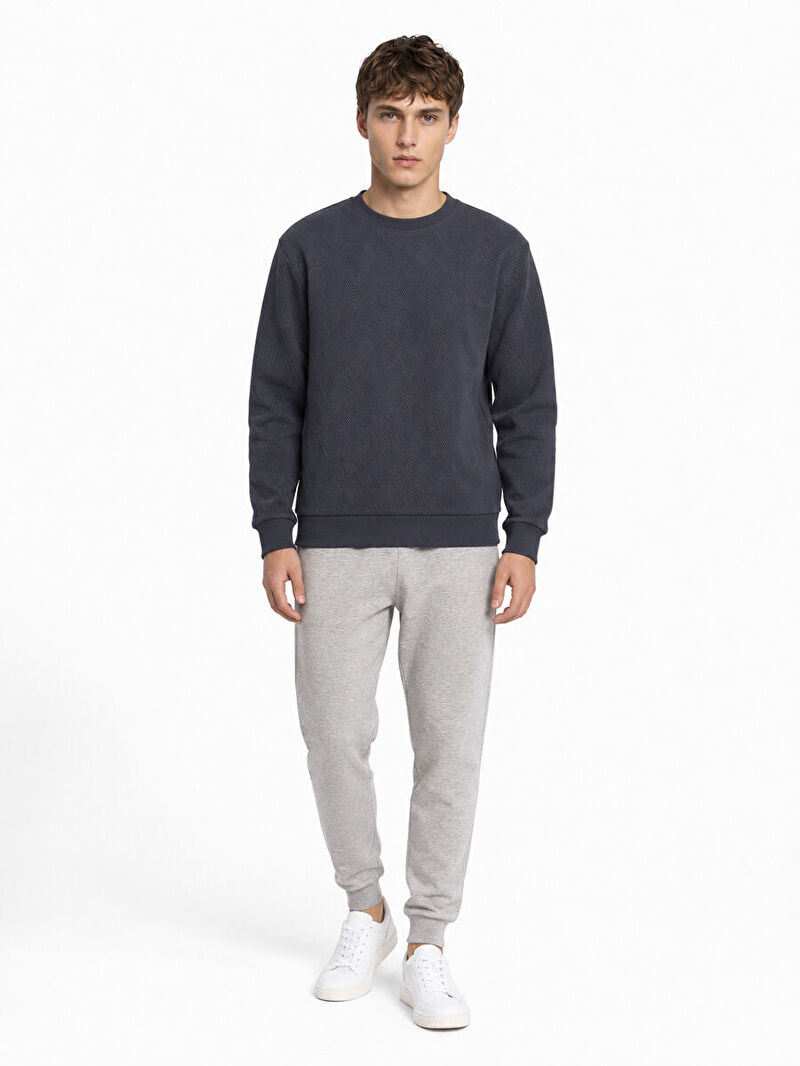 Erkek Lacivert Bisiklet Yaka Regular Fit Sweatshirt