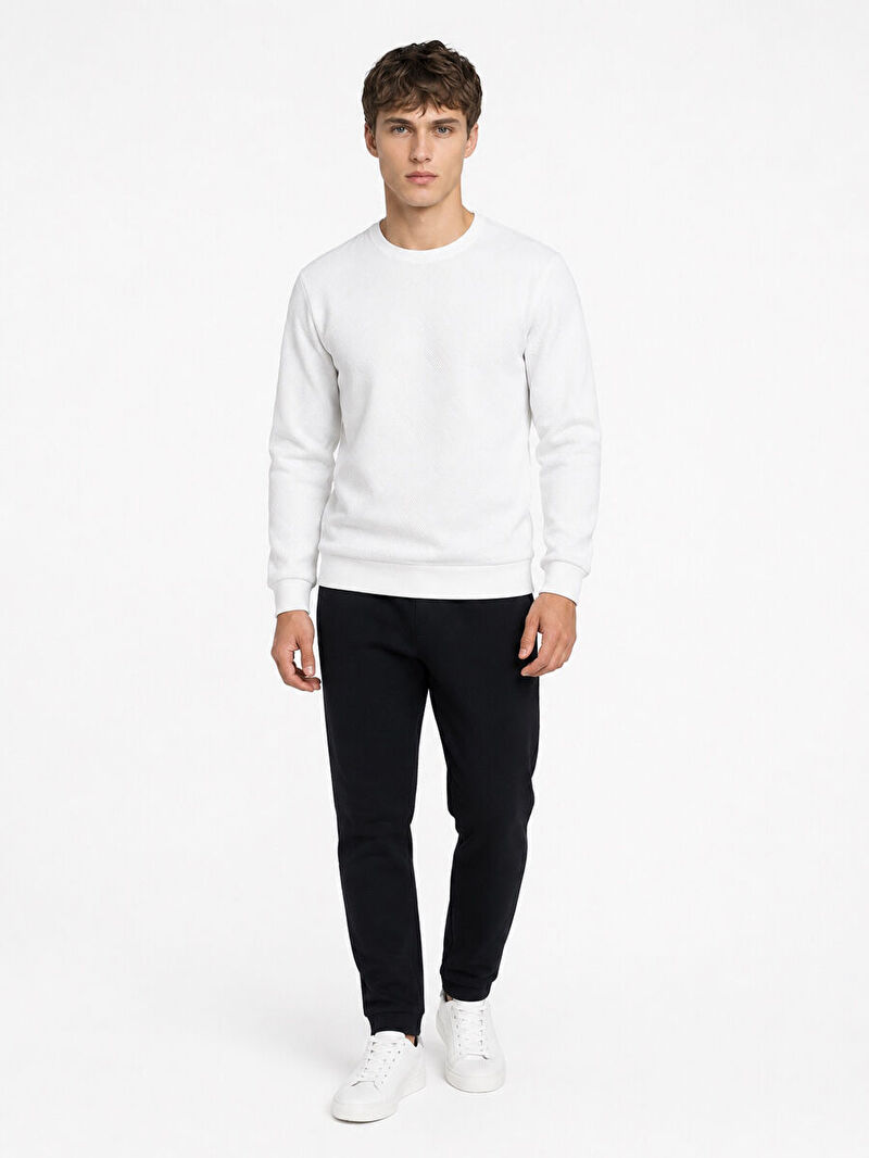 Regular Fit Erkek Sweatshirt