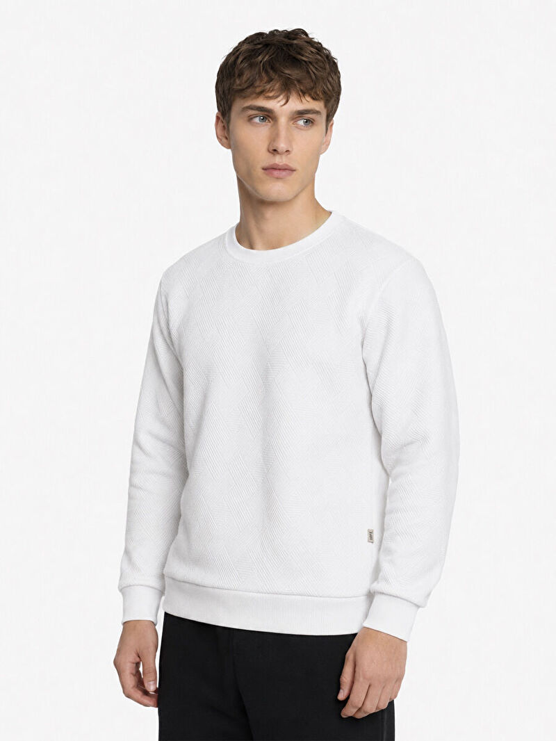 Regular Fit Erkek Sweatshirt