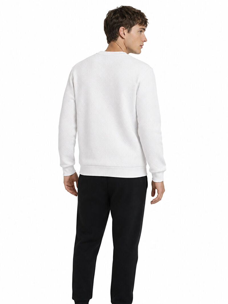 Regular Fit Erkek Sweatshirt