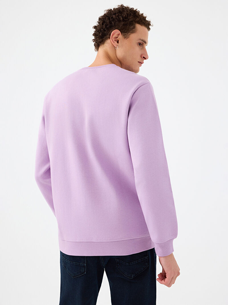Regular Fit Erkek Sweatshirt