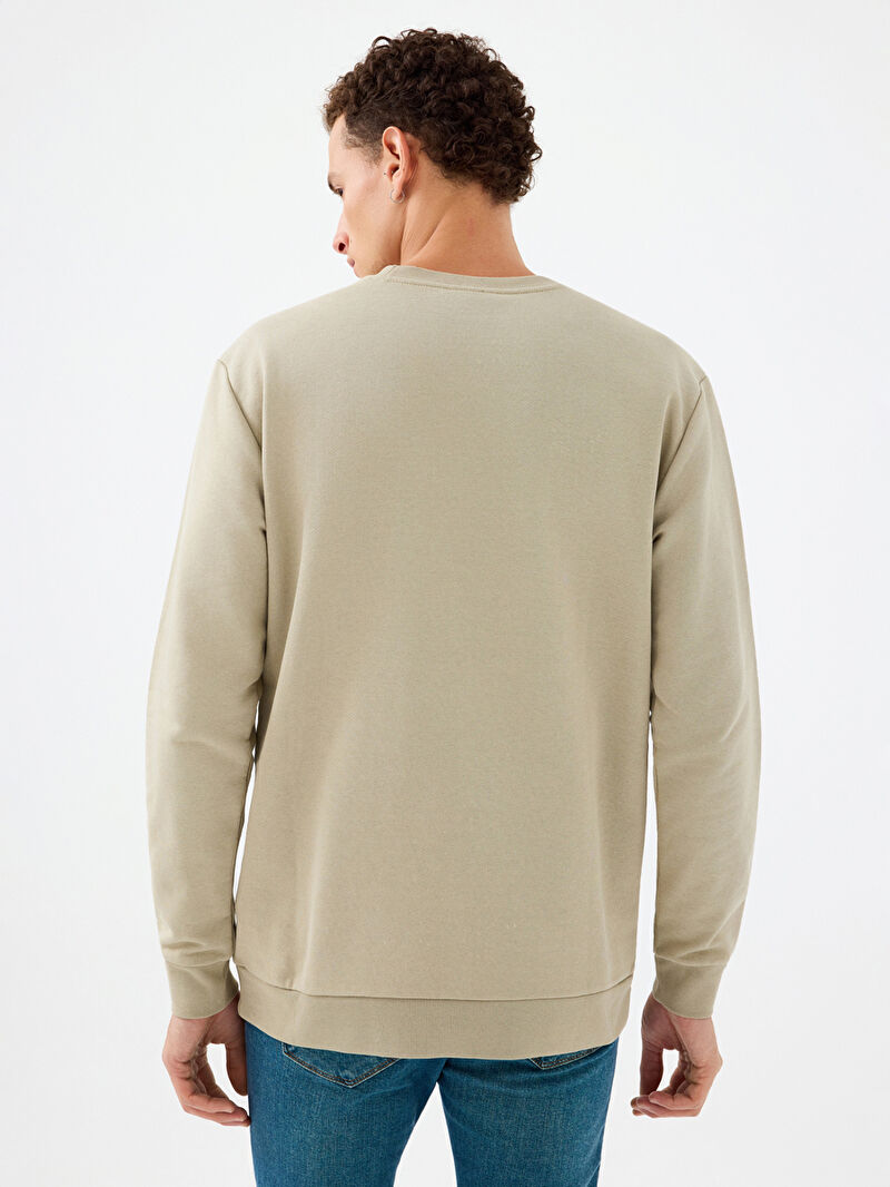 Regular Fit Erkek Sweatshirt