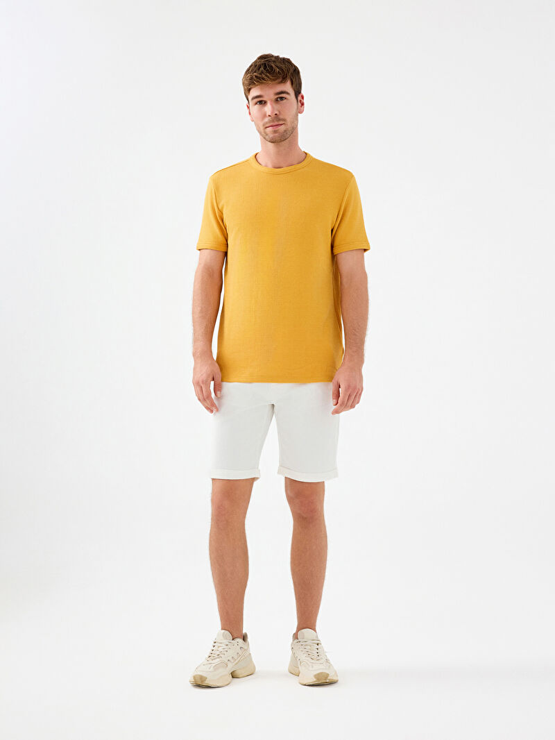 Regular Fit Erkek Şort