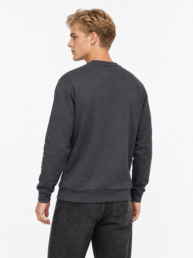 Regular Fit Erkek Sweatshirt
