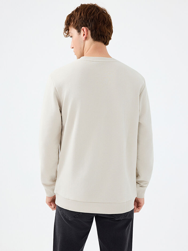 Regular Fit Erkek Sweatshirt