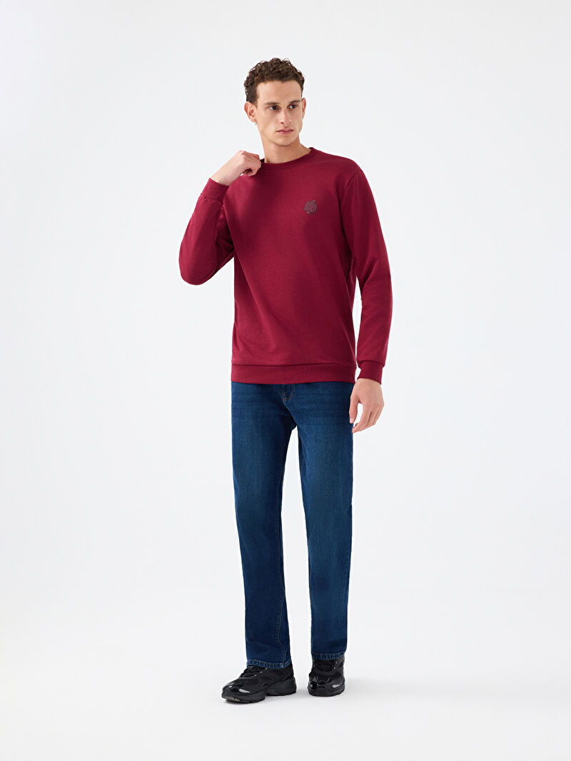 Regular Fit Erkek Sweatshirt
