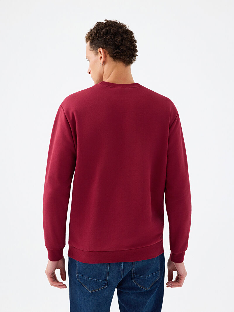 Regular Fit Erkek Sweatshirt