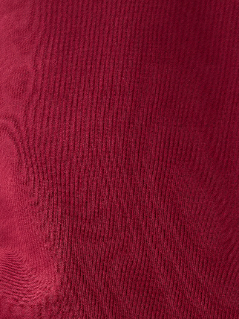 Regular Fit Erkek Sweatshirt