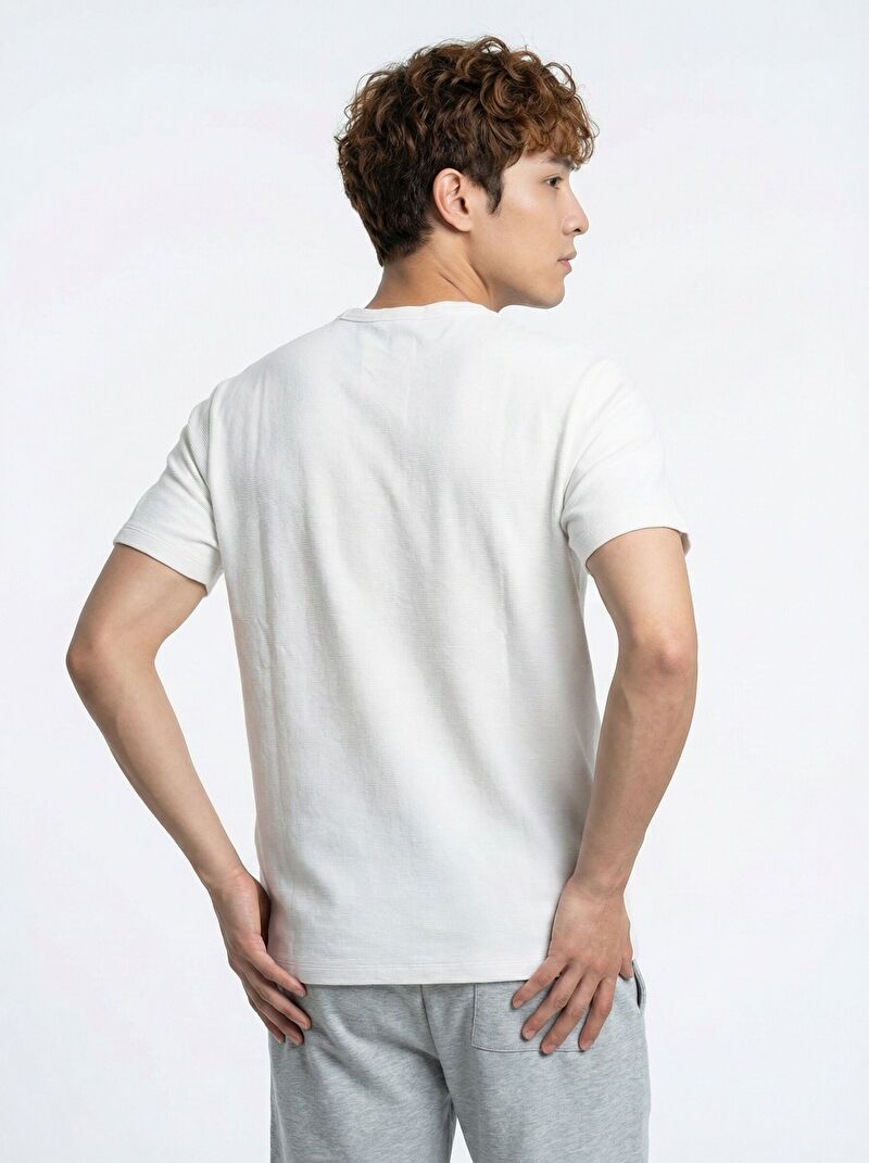 Regular Fit Erkek Tshirt K.kol