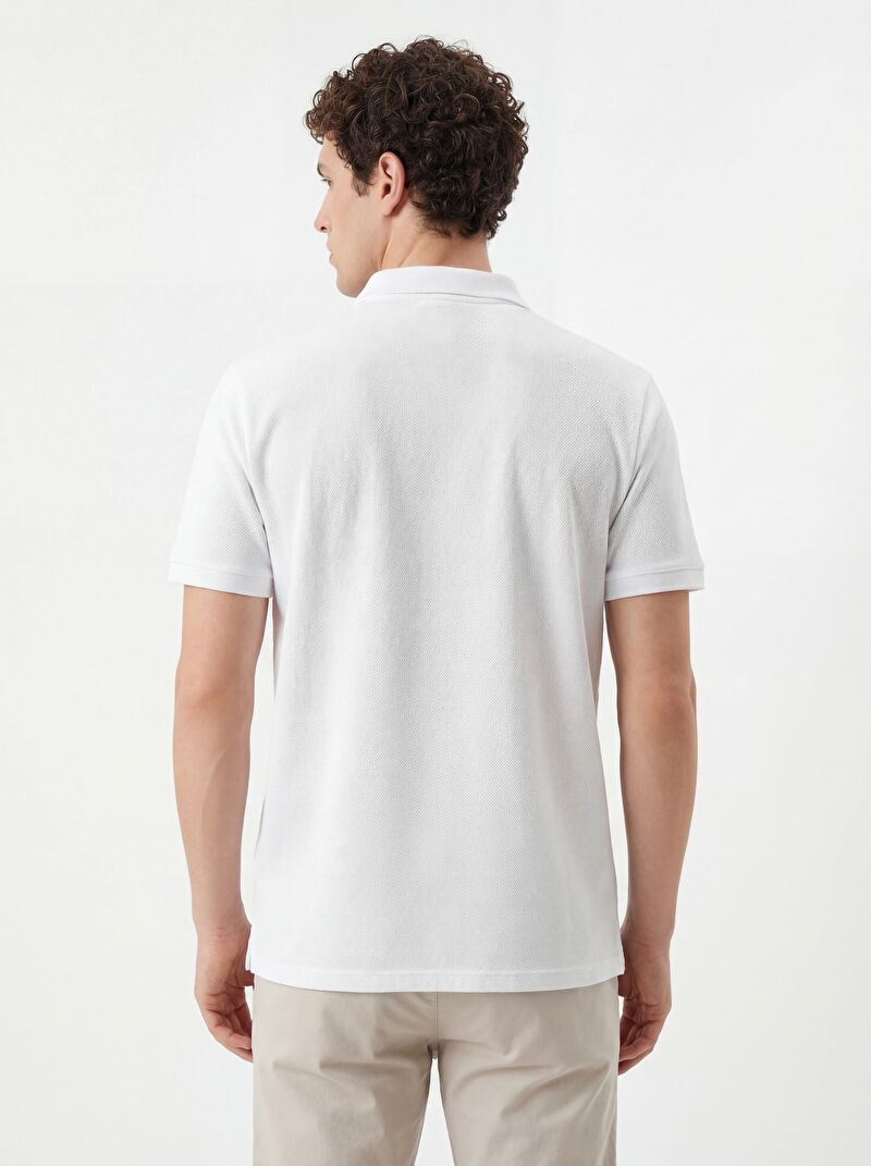 Regular Fit Erkek Polo K.kol