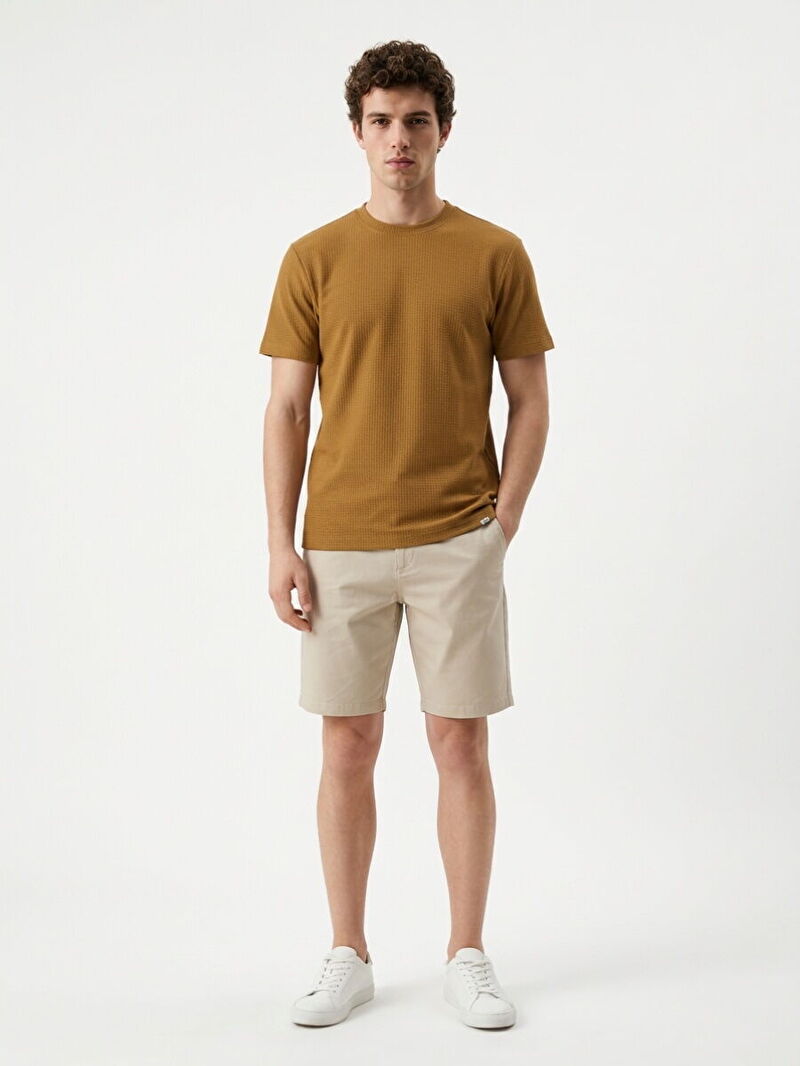 Regular Fit Erkek Tshirt K.kol