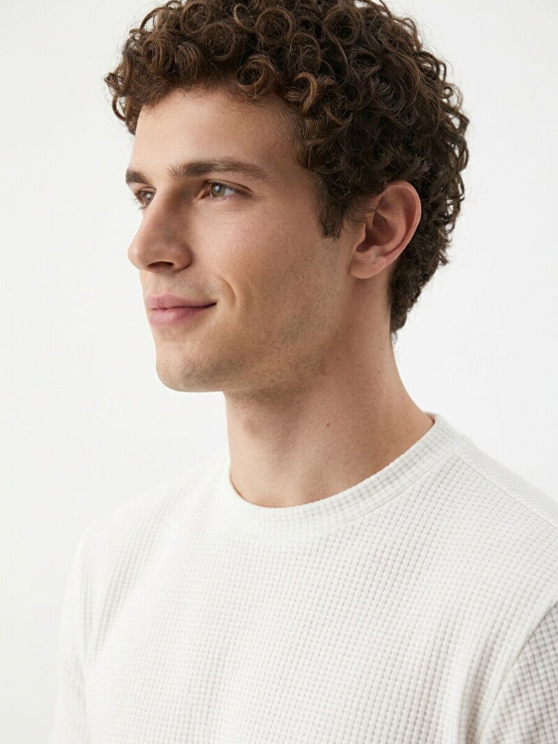 Regular Fit Erkek Tshirt K.kol