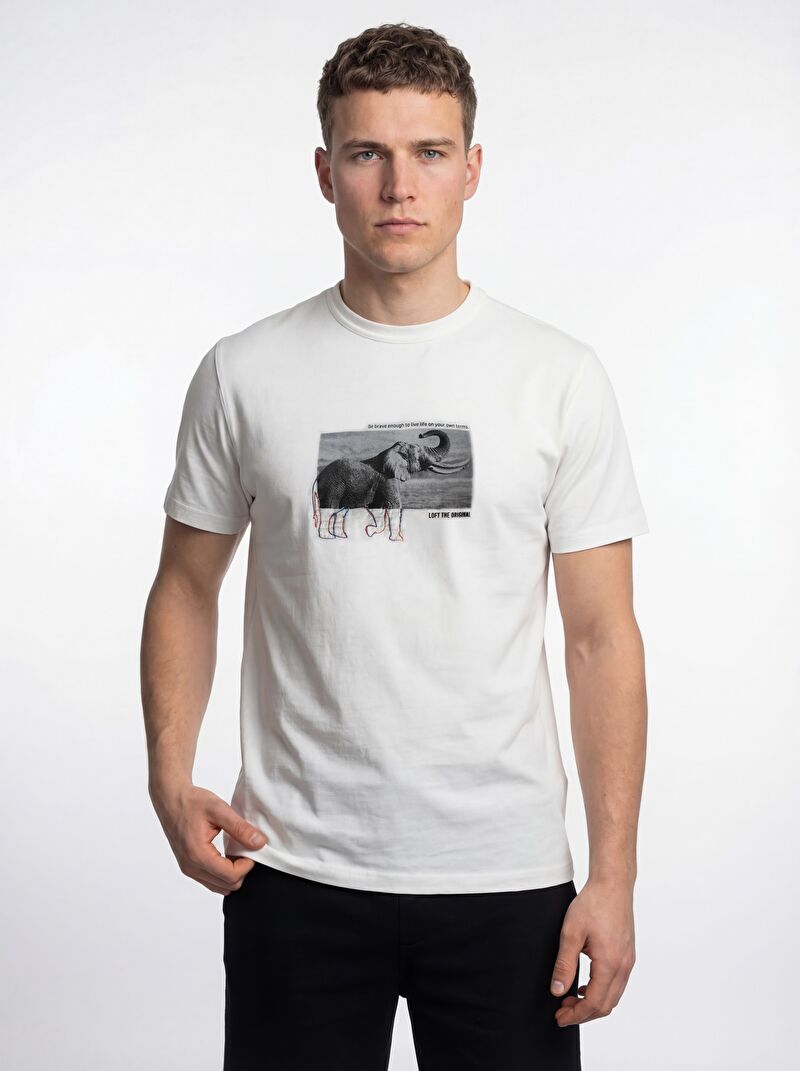 Regular Fit Erkek Tshirt K.kol