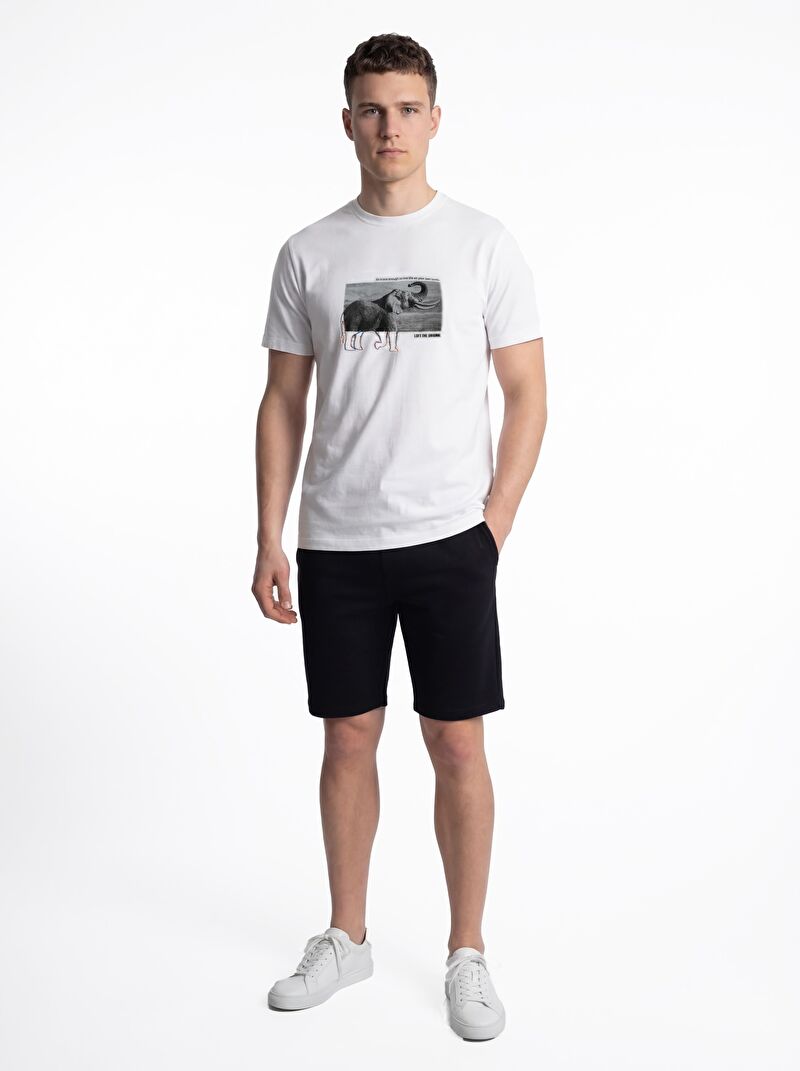 Regular Fit Erkek Tshirt K.kol