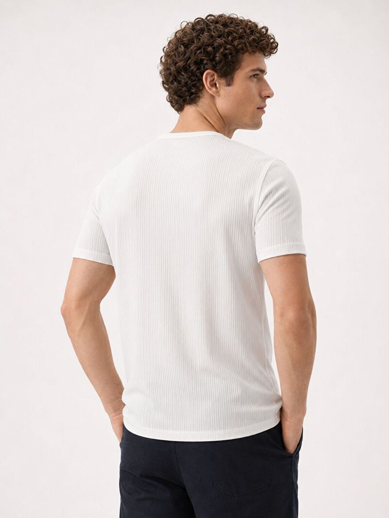 Regular Fit Erkek Tshirt K.kol
