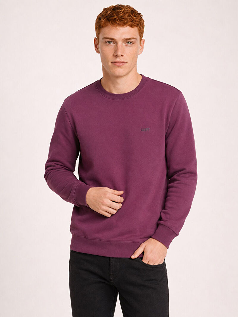 Regular Fit Erkek Sweatshirt