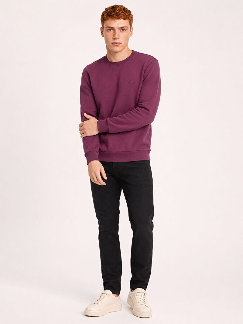 Regular Fit Erkek Sweatshirt