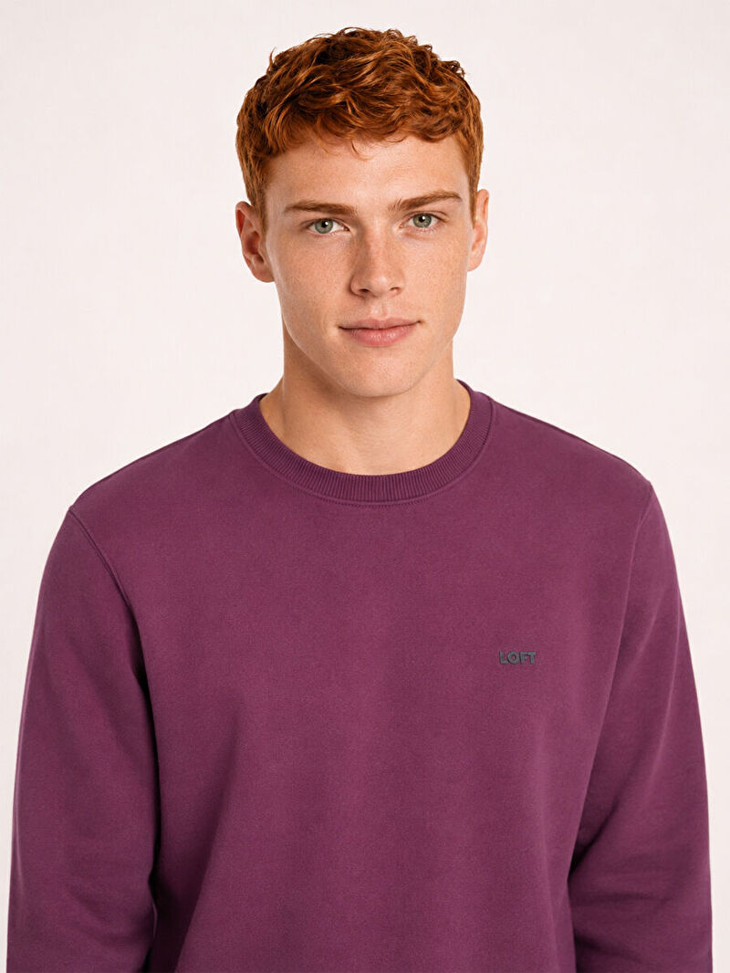 Regular Fit Erkek Sweatshirt