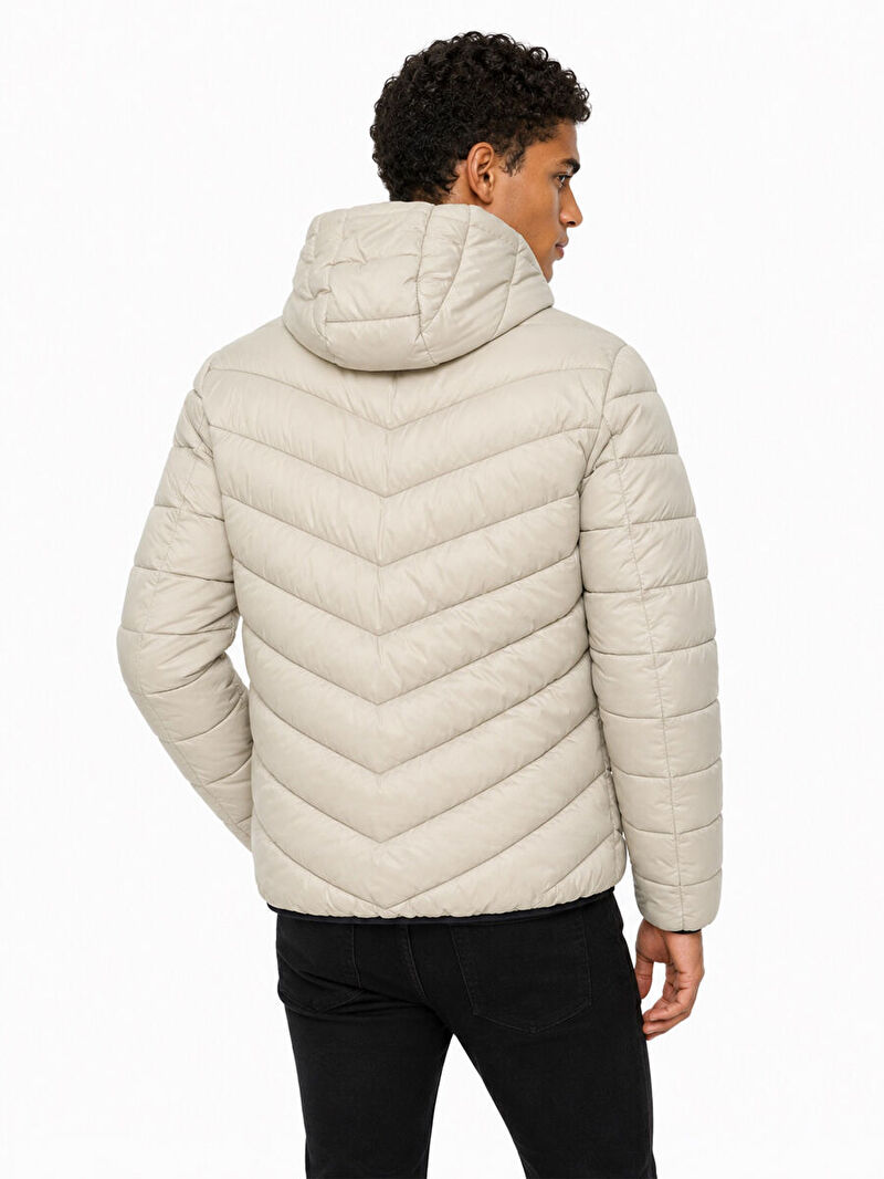 Regular Fit Erkek Mont