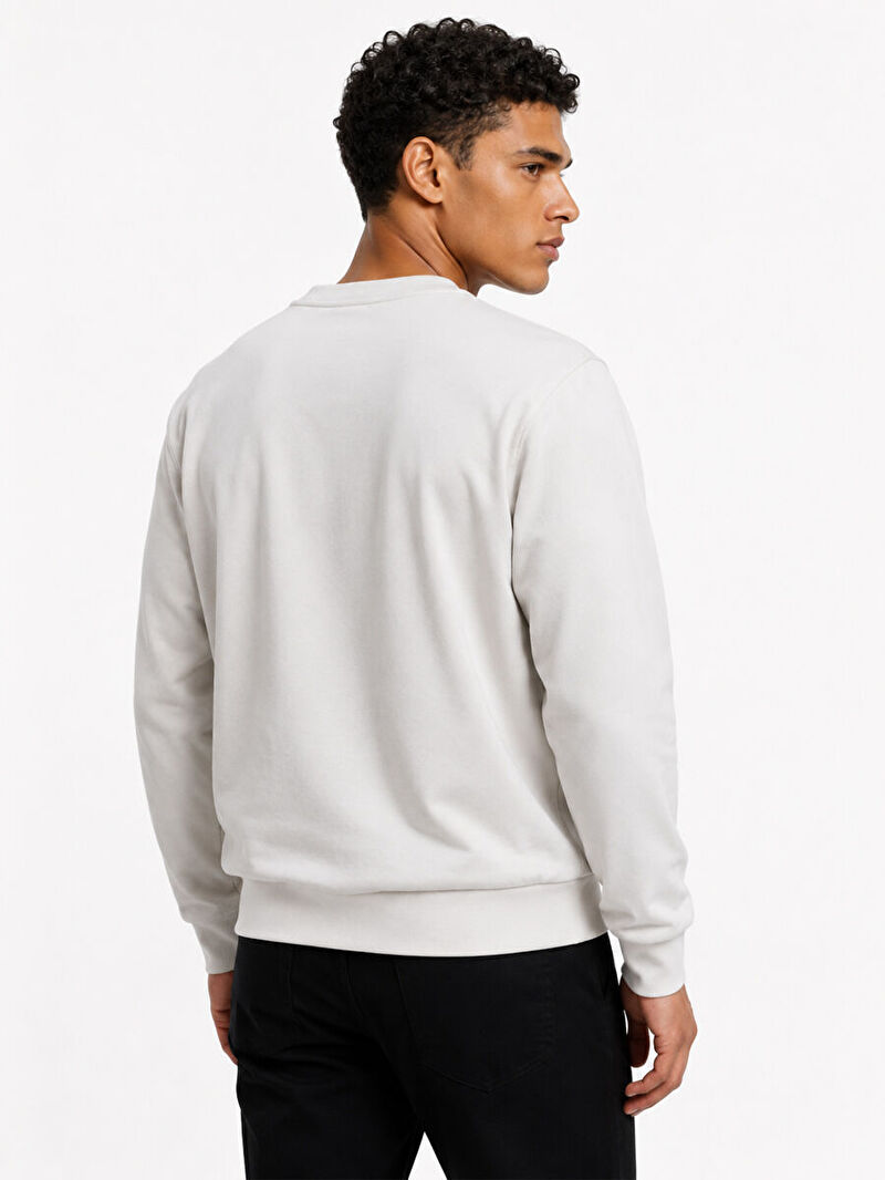 Regular Fit Erkek Sweatshirt