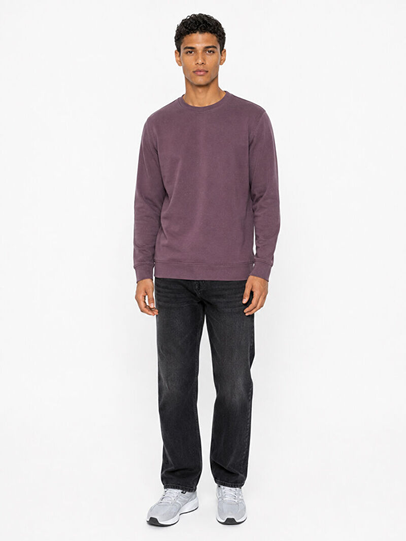 Elton Regular Fit Erkek Pantolon