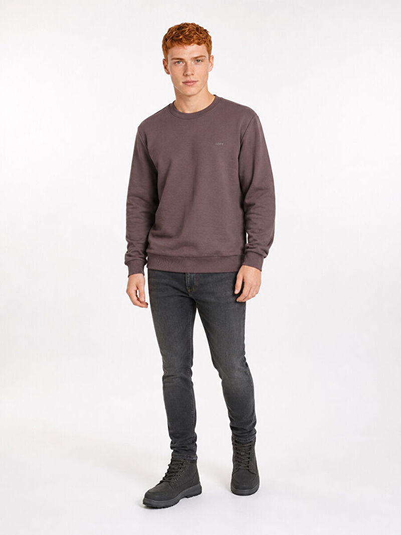 Regular Fit Erkek Sweatshirt