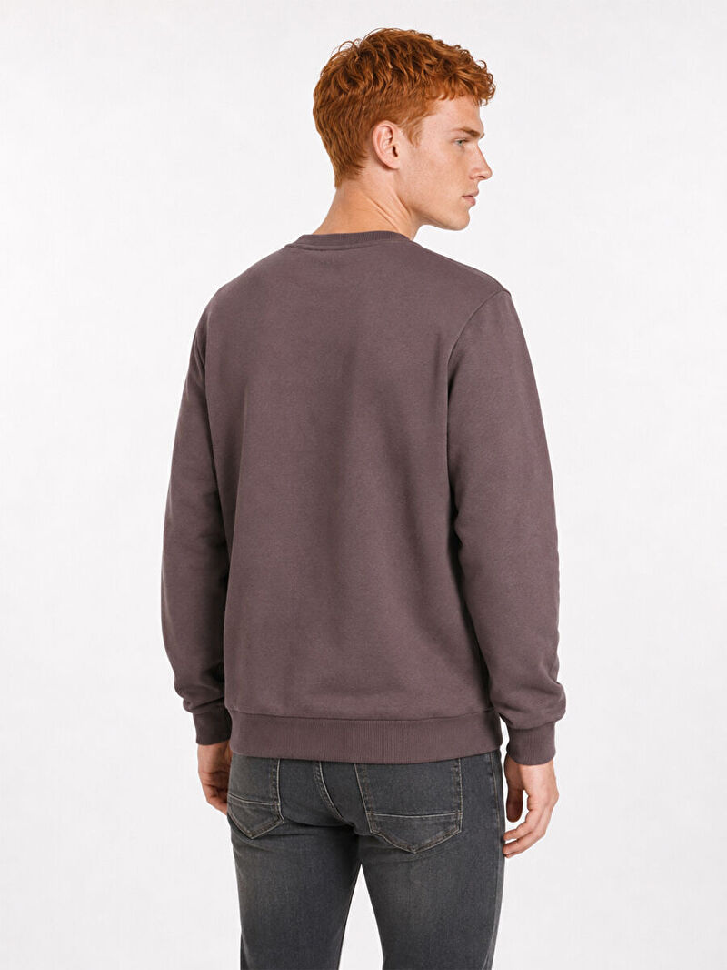Regular Fit Erkek Sweatshirt