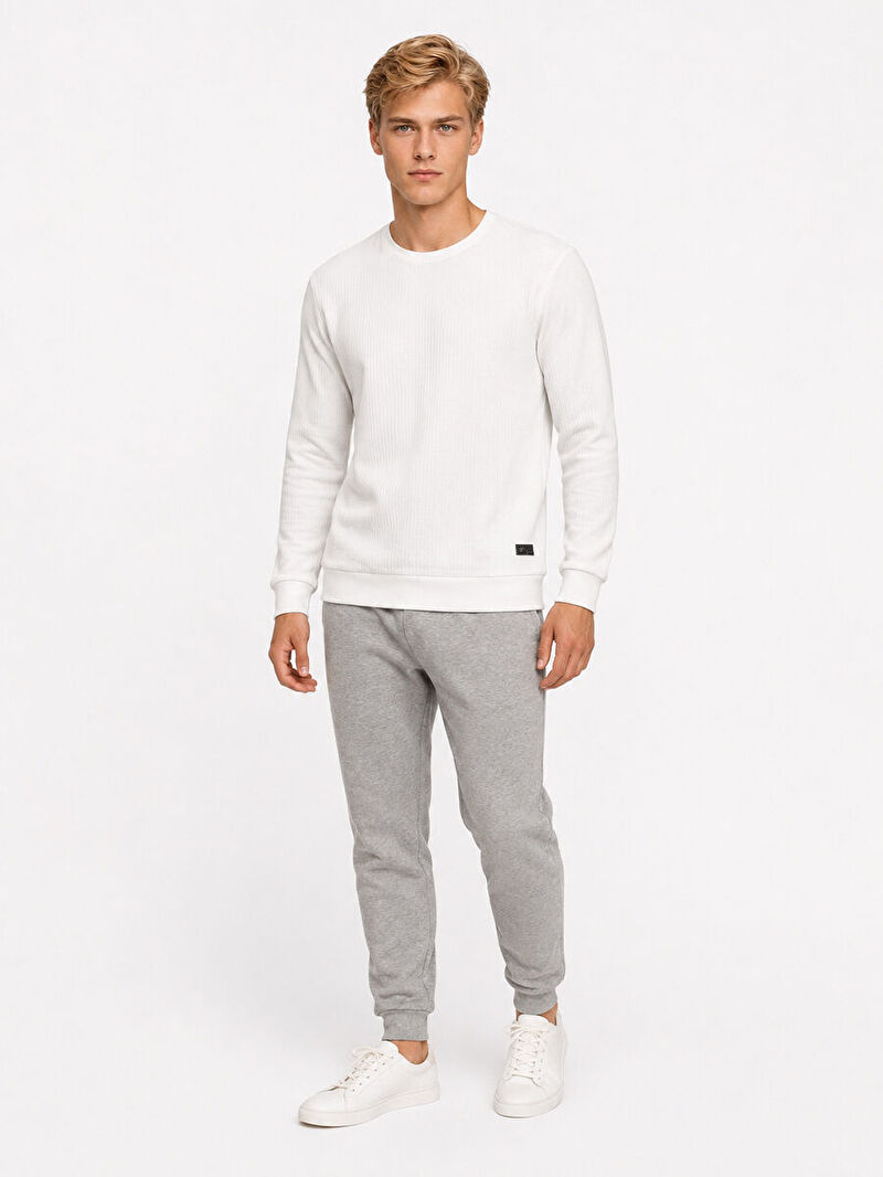 Regular Fit Erkek Sweatshirt