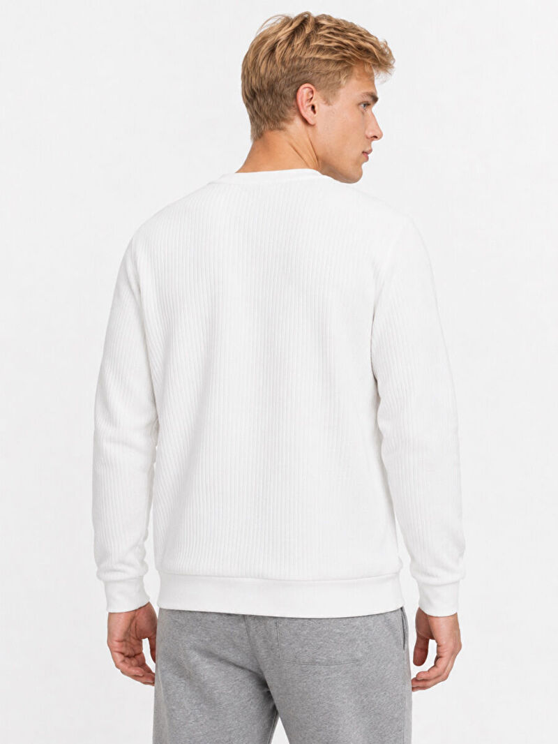 Regular Fit Erkek Sweatshirt