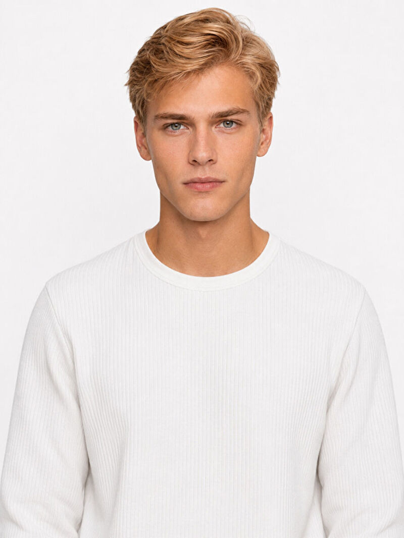 Regular Fit Erkek Sweatshirt