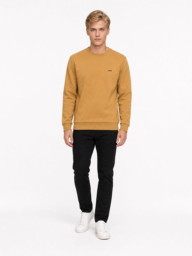 Regular Fit Erkek Sweatshirt