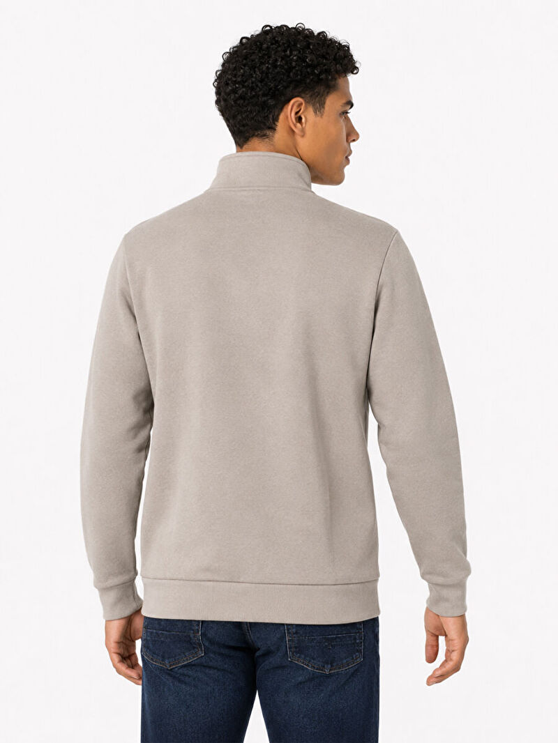Erkek Taş Balıkçı Yaka Regular Fit Sweatshirt