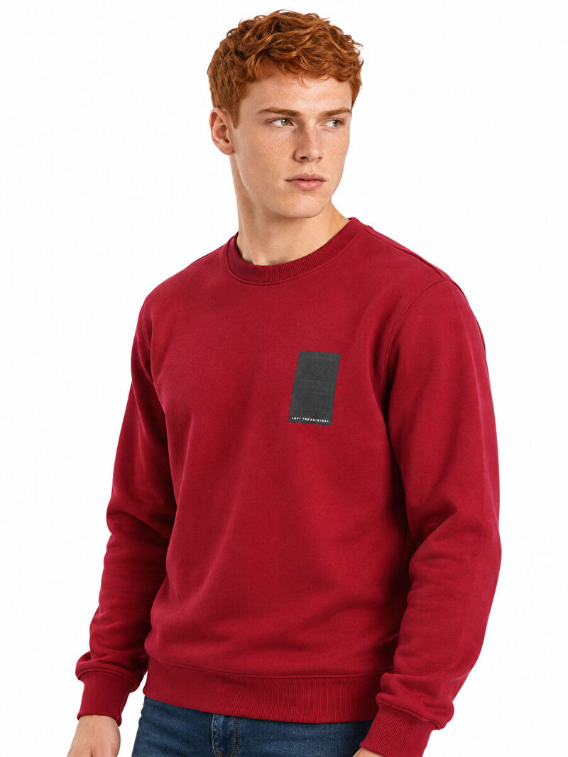 Regular Fit Erkek Sweatshirt