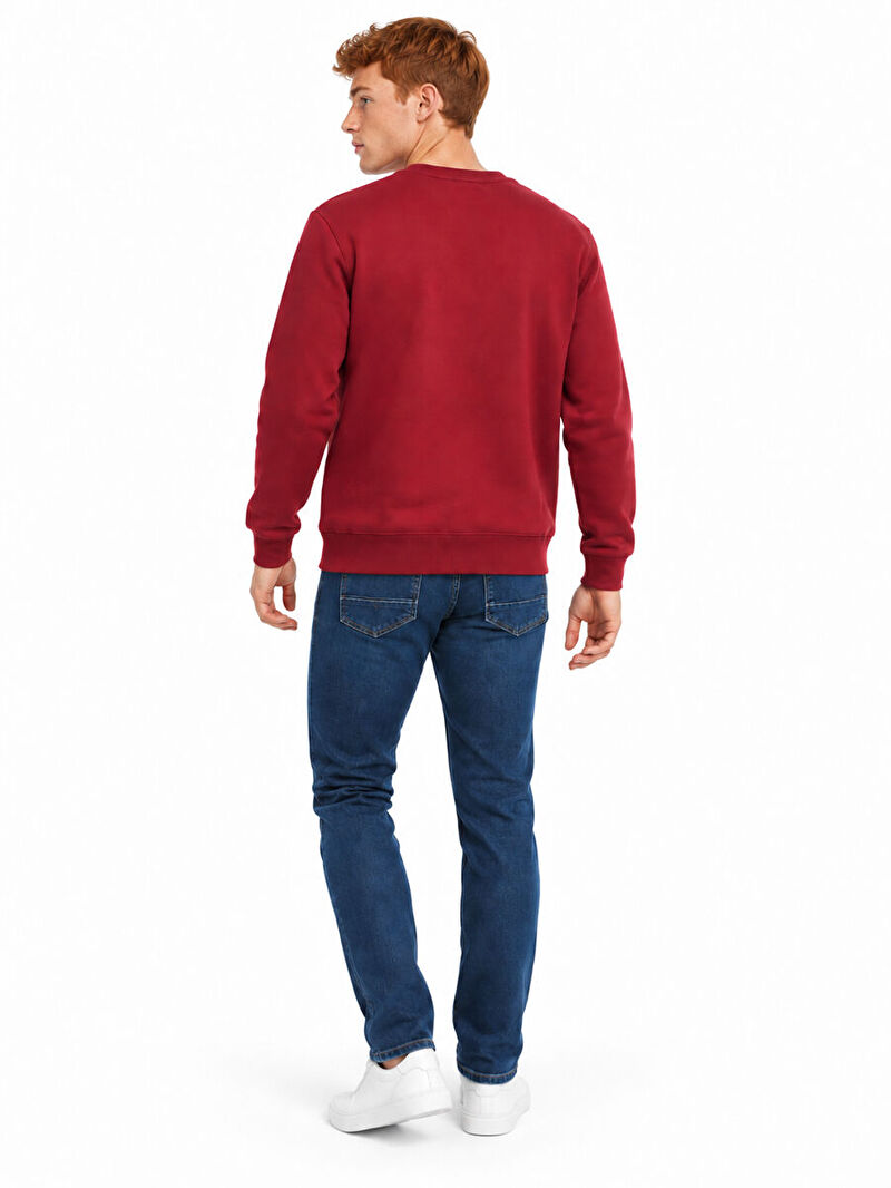 Regular Fit Erkek Sweatshirt