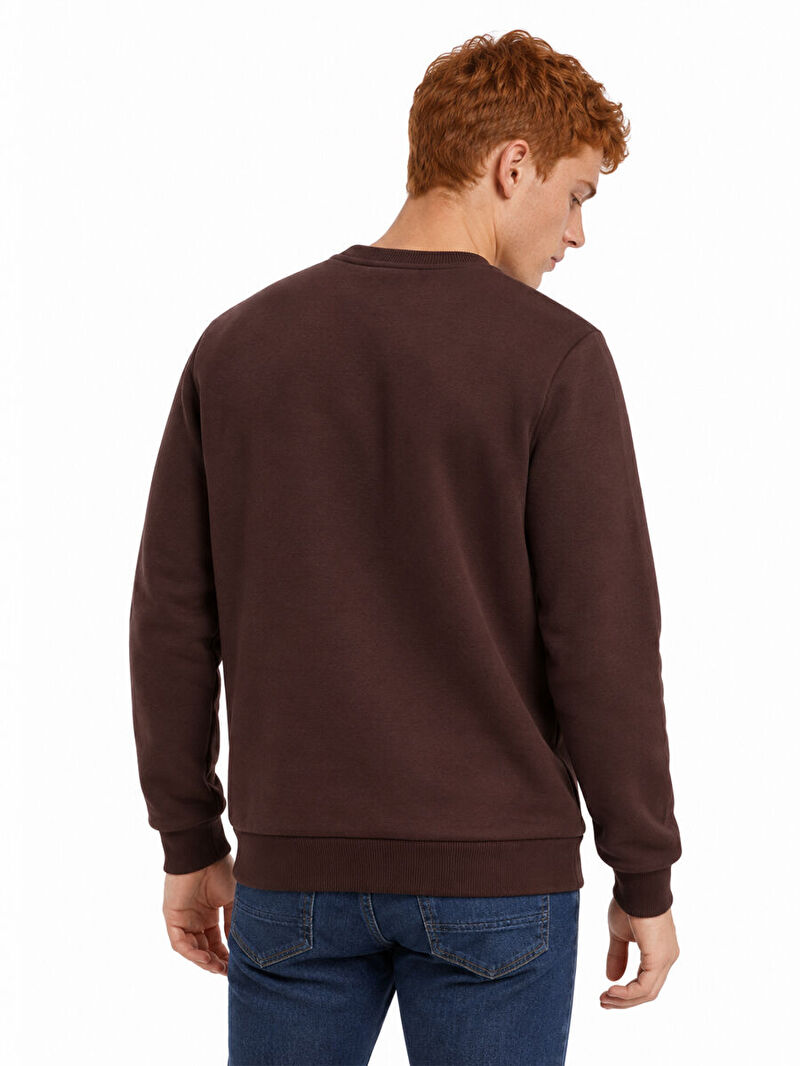 Erkek Kahverengi Bisiklet Yaka Regular Fit Sweatshirt