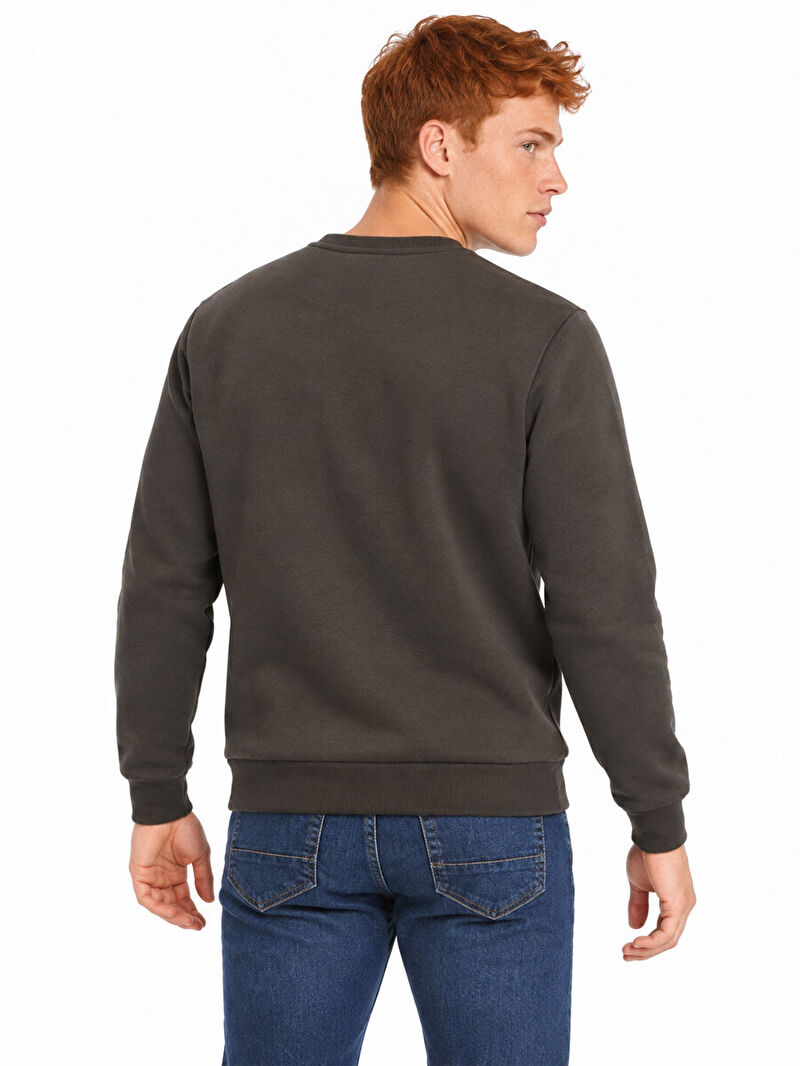Regular Fit Erkek Sweatshirt