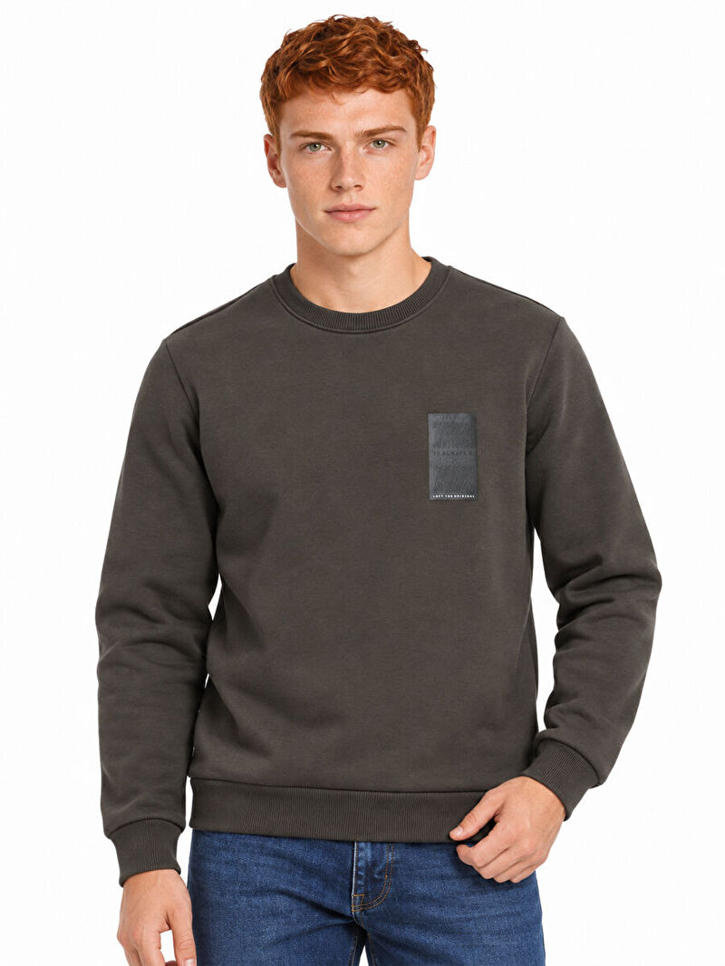 Regular Fit Erkek Sweatshirt