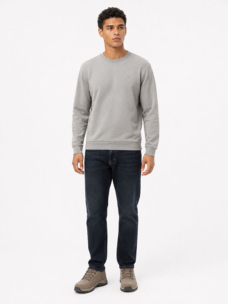 Regular Fit Erkek Sweatshirt