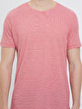 thumb-Regular Fit Erkek Tshirt K.kol