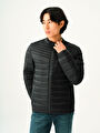 thumb-Regular Fit Erkek Mont