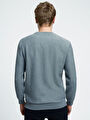 thumb-Regular Fit Erkek Sweatshirt