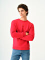 thumb-Regular Fit Erkek Sweatshirt