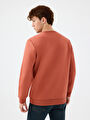thumb-Regular Fit Erkek Sweatshirt