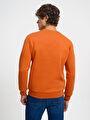 thumb-Regular Fit Erkek Sweatshirt