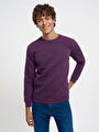 thumb-Regular Fit Erkek Sweatshirt